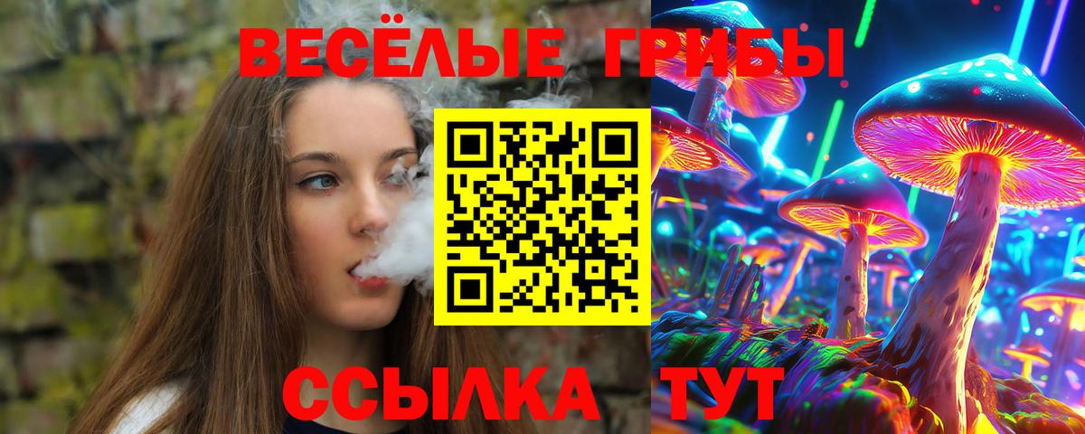 Псилоцибиновые грибы ЛСД Вольск