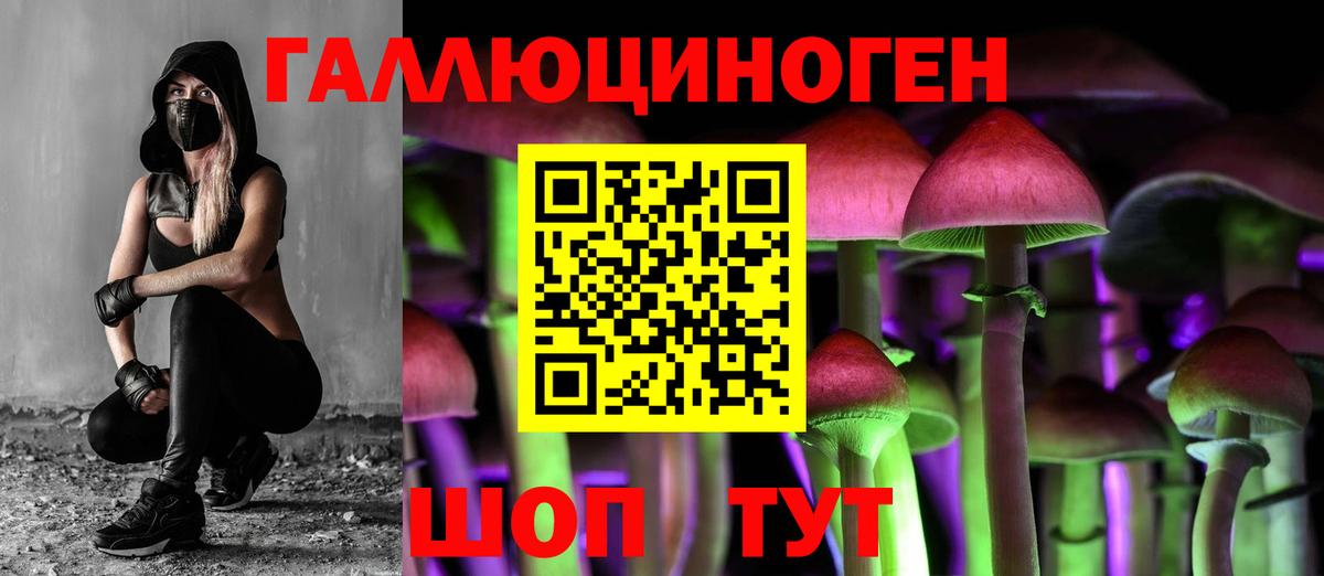 Вольск  Галлюциногенные грибы MAGIC MUSHROOMS  Галлюциногенные грибы мицелий  купить закладку  Вход с VPN 
