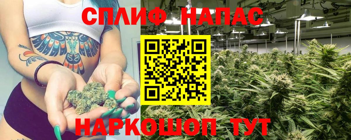 Вольск  Канабис ГИДРОПОН  Марихуана AK-47  Вход с VPN  МАРИХУАНА план  Шишки марихуана семена 